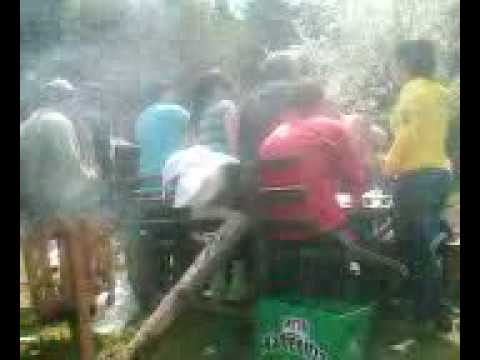 Rasadnici na 1vi Maj Golak - 1 del