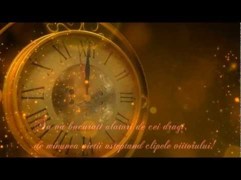 VIOREL PIRONEA | felicitare 2011