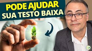 MELHOR SUPLEMENTO para AUMENTAR a TESTOSTERONA