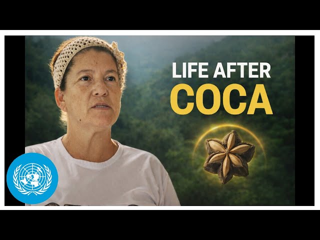  The Same Soil: What Grows After Cocaine