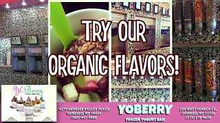 DISC 72 - "Yoberry Yogurt", Geneseo, NY