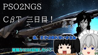 三日間の感想を聞いてくれ　　【PSO2NGS CβT】