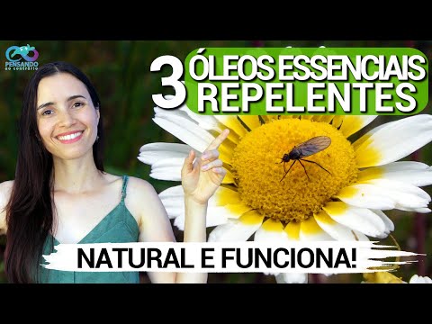 3 Essential Oils That Really Repel Insects | Science-Based Natural Insect Repellent
