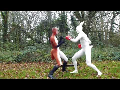 Humanimals Kickboxing -  Vixen VS  Rabbit