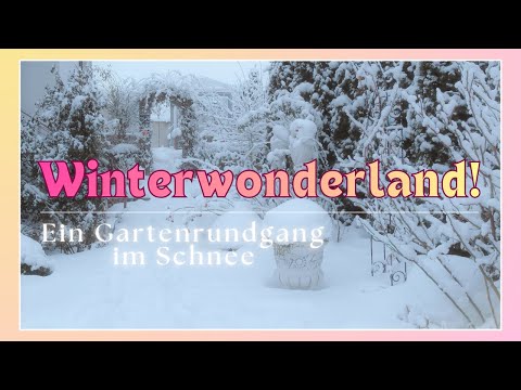 Weiße Pracht im Rosengarten