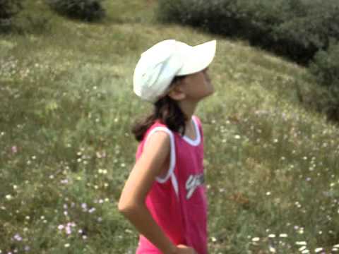 galesu CT2009 panorama.mpg