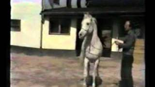 Video koně Malik 1970 EAO
