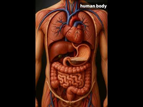 What Happens When You Drink Coca-Cola? 😱