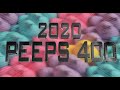 NASCARCASM: The 2020 Peeps 400 microwave race