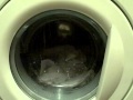 Electrolux EW1006f Minimum Iron Part 4