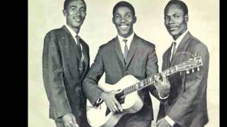 TOOTS &amp; THE MAYTALS - LOVE SO STRONG