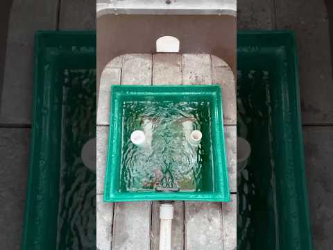 3 Steps to Developing a Mountain Spring Part 2 #idaho #homestead #water #source