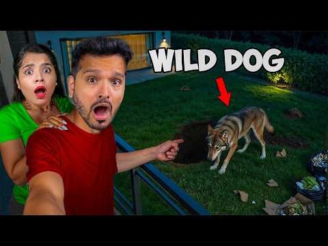 Myra Was Bitten by a Wild Dog! *EMERGENCY*