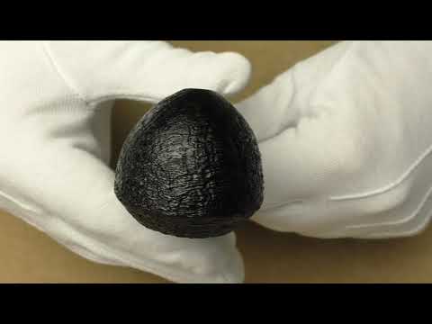 Dunhill Shell Briar P f/t - pipe D066