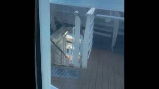 Carnival Vista Room 7207