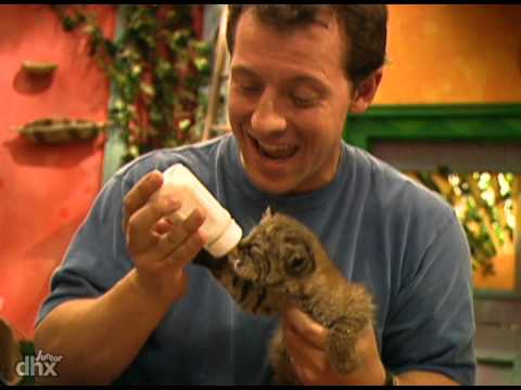 Zoboomafoo 120 - Creche Para Animais (Em Português)