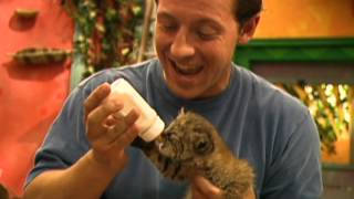 Zoboomafoo 120 - Creche Para Animais (Em Português)