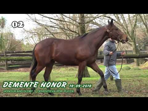 Lote DEMENTE HONOR