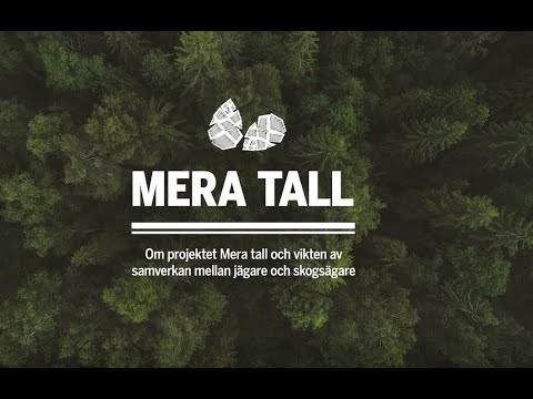 Mera tall - Om metoden Mera tall (1)