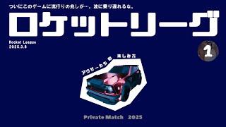 【Rocket League】アラサーの楽しみ方