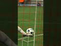 Ranocchia off the line! ?