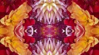 Rocks and Gravel (by Dave Van Ronk live at Indiana University '64)