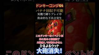 新しいバグ？【ドンキーコング64】実機