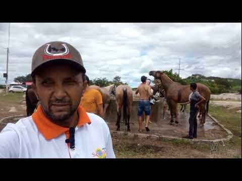 VAQUEJADA PARQUE JM SERRITA PERNAMBUCO 2026