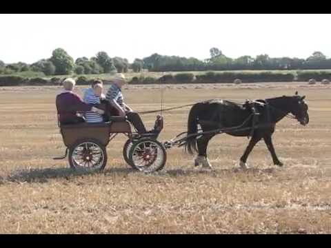 Suncroft Vintage Threshing 2009