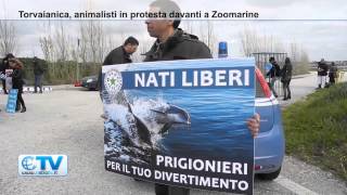 preview picture of video 'Torvaianica, animalisti in protesta davanti a Zoomarine'