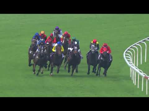 Rocket Man Sprint 2019 (Bold Thruster)