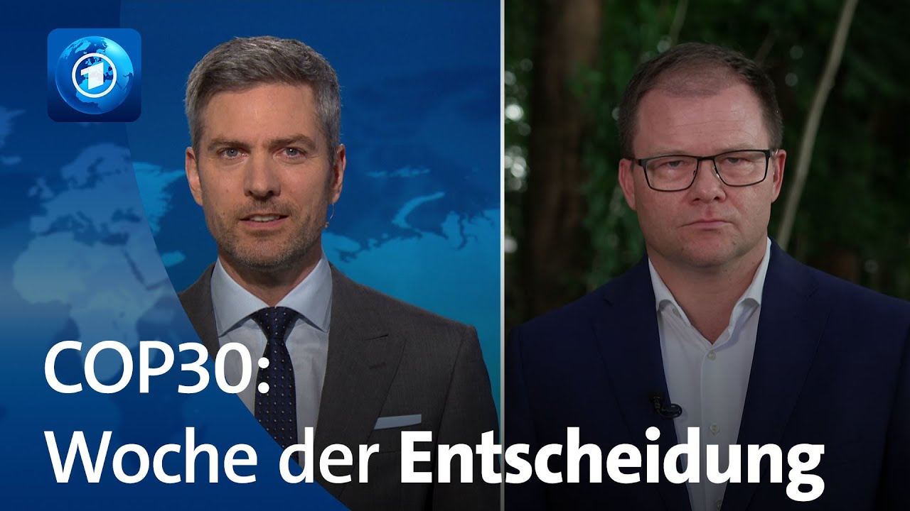 Verspielt Deutschland seine Vorreiterrolle beim Klimaschutz? | tagesthemen-Interview