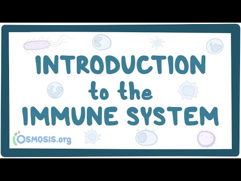 Introduction to the immune system