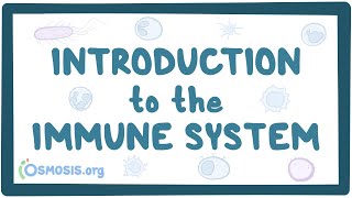 Introduction to the immune system