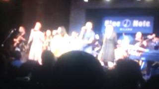 Incognito  - Fences and Barriers