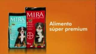 Bayer - Mira