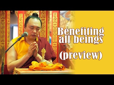 Teaching Preview for 30 Jun 2016 - Benefiting all beings