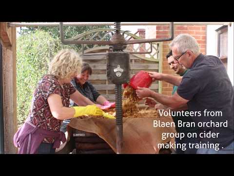 download lagu mp3 mp4 Welsh Apple Cider, download lagu Welsh Apple Cider gratis, unduh video klip Welsh Apple Cider