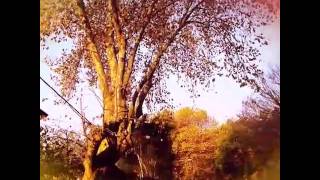 Kwesta-Nomayini by @TMB_SA