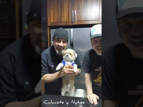 Calacote con Nykee Alberto , Maffio..