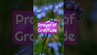 Download lagu Prayer Of Gratitude - Thank You Lord - A Prayer Of Gratitude To Thank God #gratitude #godsword mp3