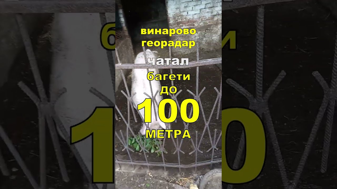 Проучване за вода с георадар — Винарово, Видинска област