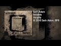 Seth Adam - Invisible