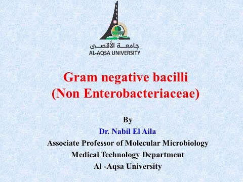 Chapter 6   Gram negative bacilli Non Enterobacteriacea