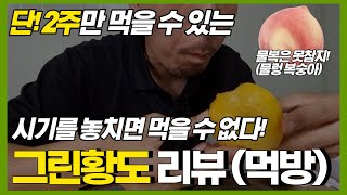 수확 기간 단 2주! 지금 아니면 먹을 수 없다고?? 물 복숭아 그린 황도 리뷰!(먹방)