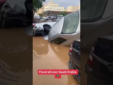 Co te araby narobiły
