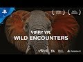 Virry VR: Wild Encounters – Launch Trailer | PS VR