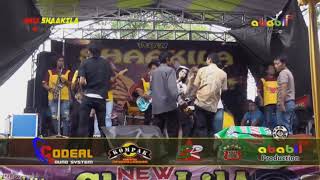 Download lagu KENANGAN BY MEGA SI HIDUNG CANTIK ON SHAAKILA mp3