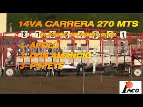 DON AMANCIO HIPODROMO DON SOHAR CRUZ DEL EJE 17 12 2022