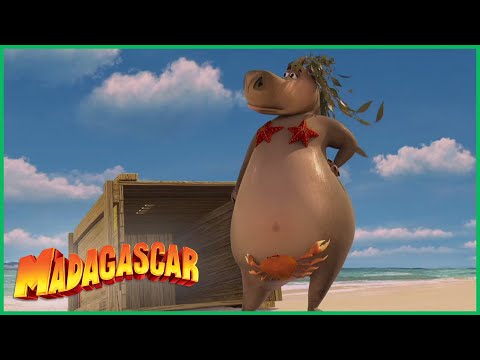Capa de Melhores momentos de Gloria | DreamWorks Madagascar em Português | Desenhos Animados